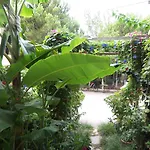 Apartment Izmir Seferihisar *