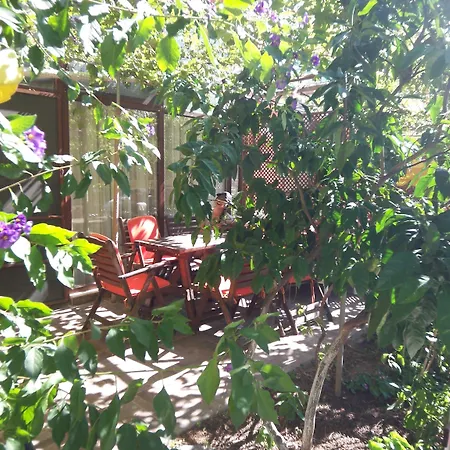 Izmir Seferihisar *