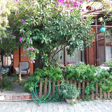 Izmir Seferihisar * Urkmez