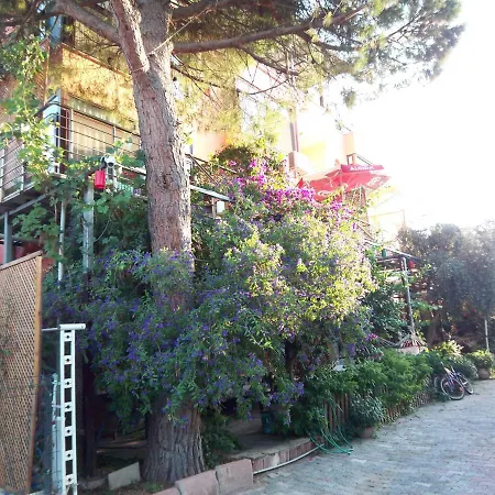 Izmir Seferihisar Ürkmez
